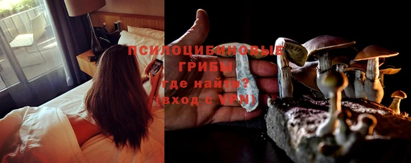 бутират Богданович