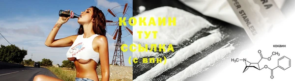 2c-b Богородицк