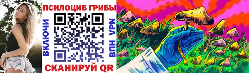 Галлюциногенные грибы Magic Shrooms  Купить  Ряжск 